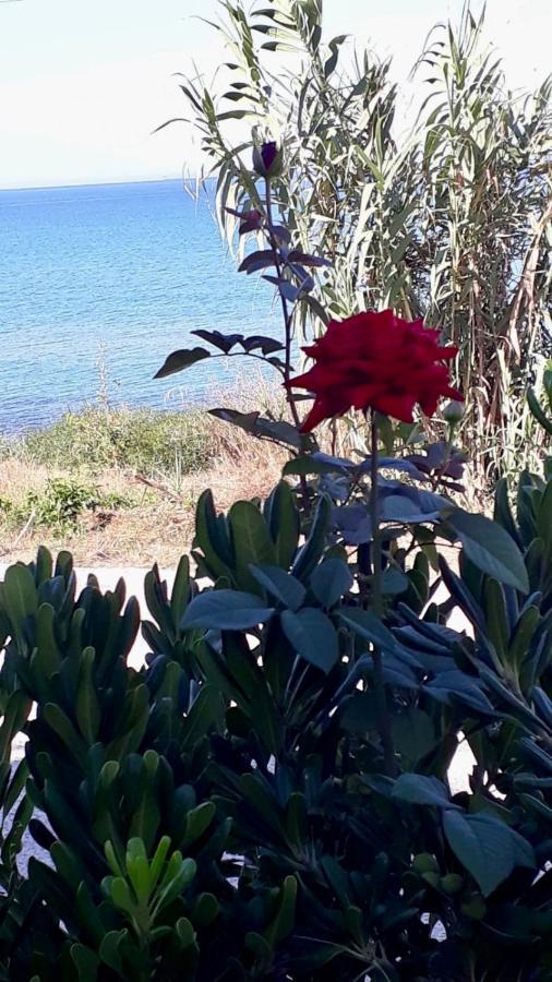 Villa Covo Dei Marinai à Cava dʼAliga Extérieur photo